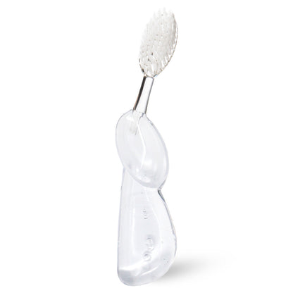Big Brush with Replaceable Head Toothbrush