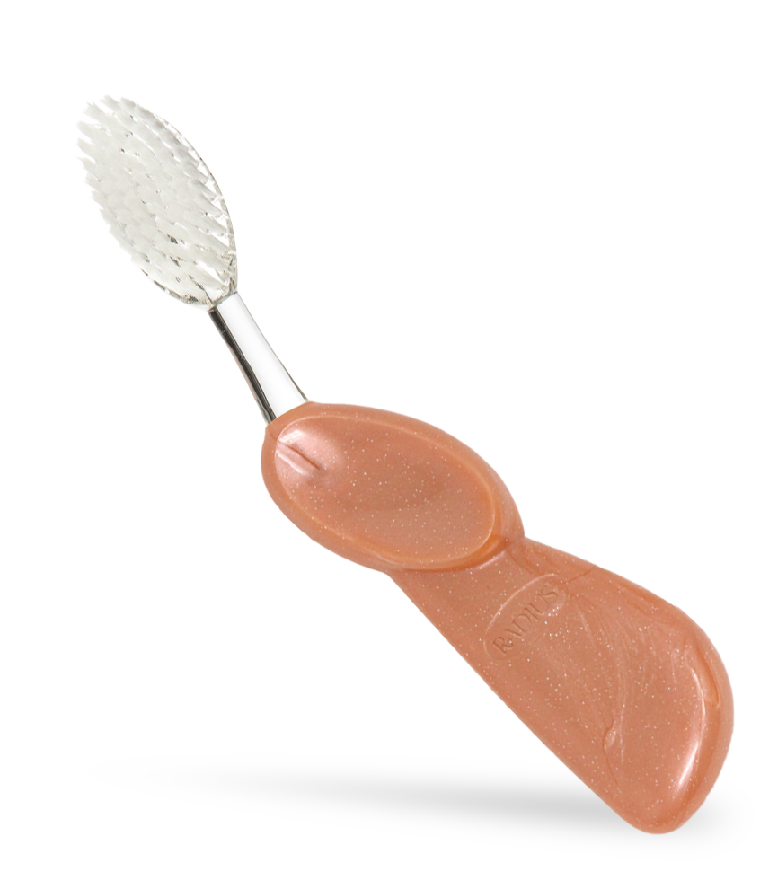 Big Brush with Replaceable Head Toothbrush