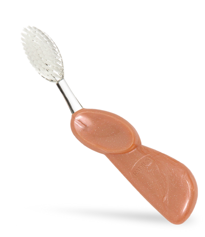 Big Brush with Replaceable Head Toothbrush