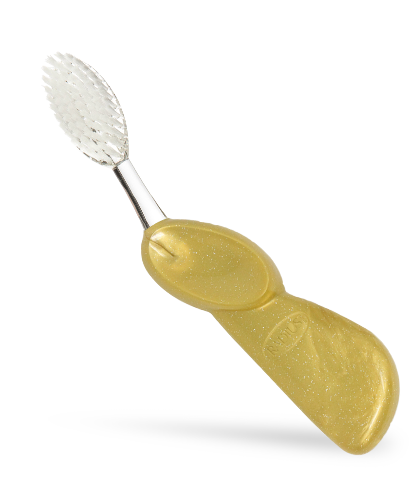 Big Brush with Replaceable Head Toothbrush