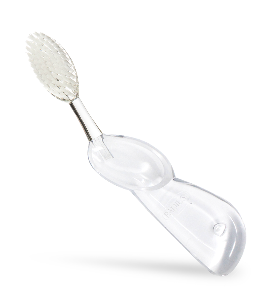 Big Brush with Replaceable Head Toothbrush
