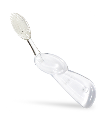 Big Brush with Replaceable Head Toothbrush