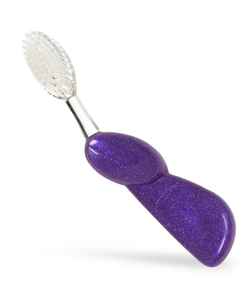 Big Brush with Replaceable Head Toothbrush
