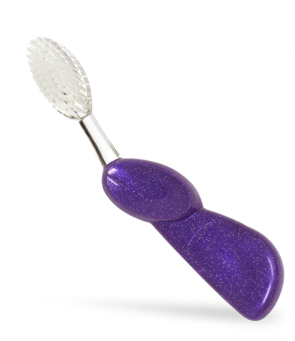 Big Brush with Replaceable Head Toothbrush