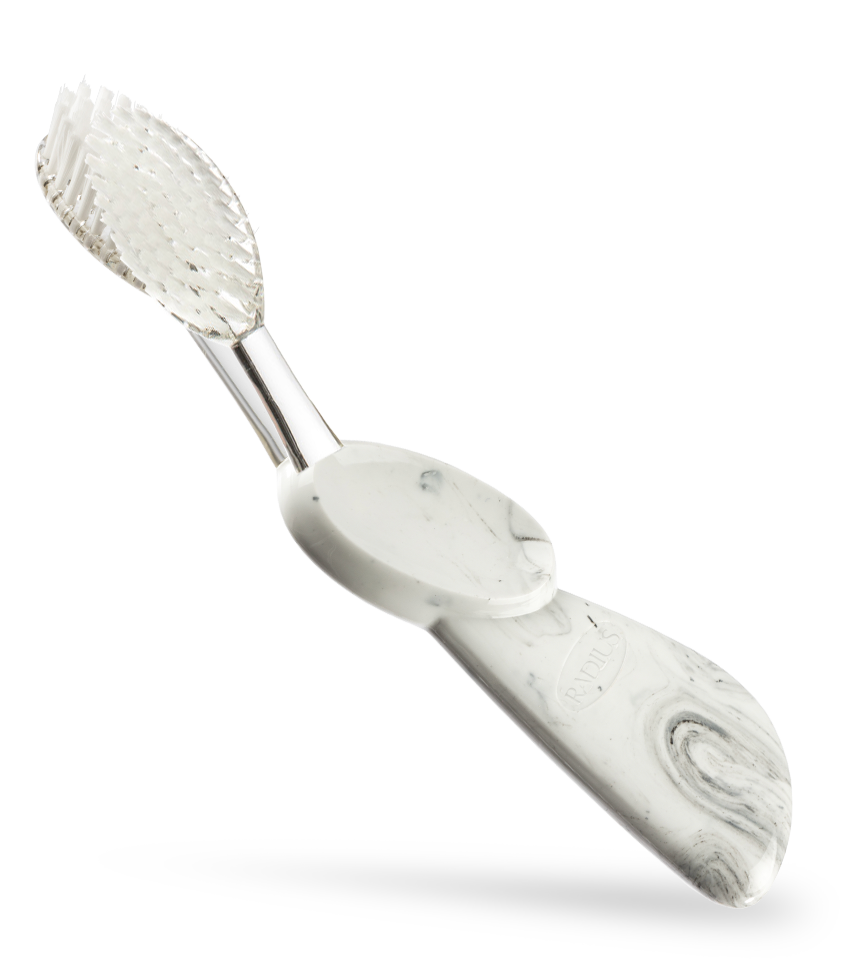 Big Brush with Replaceable Head Toothbrush