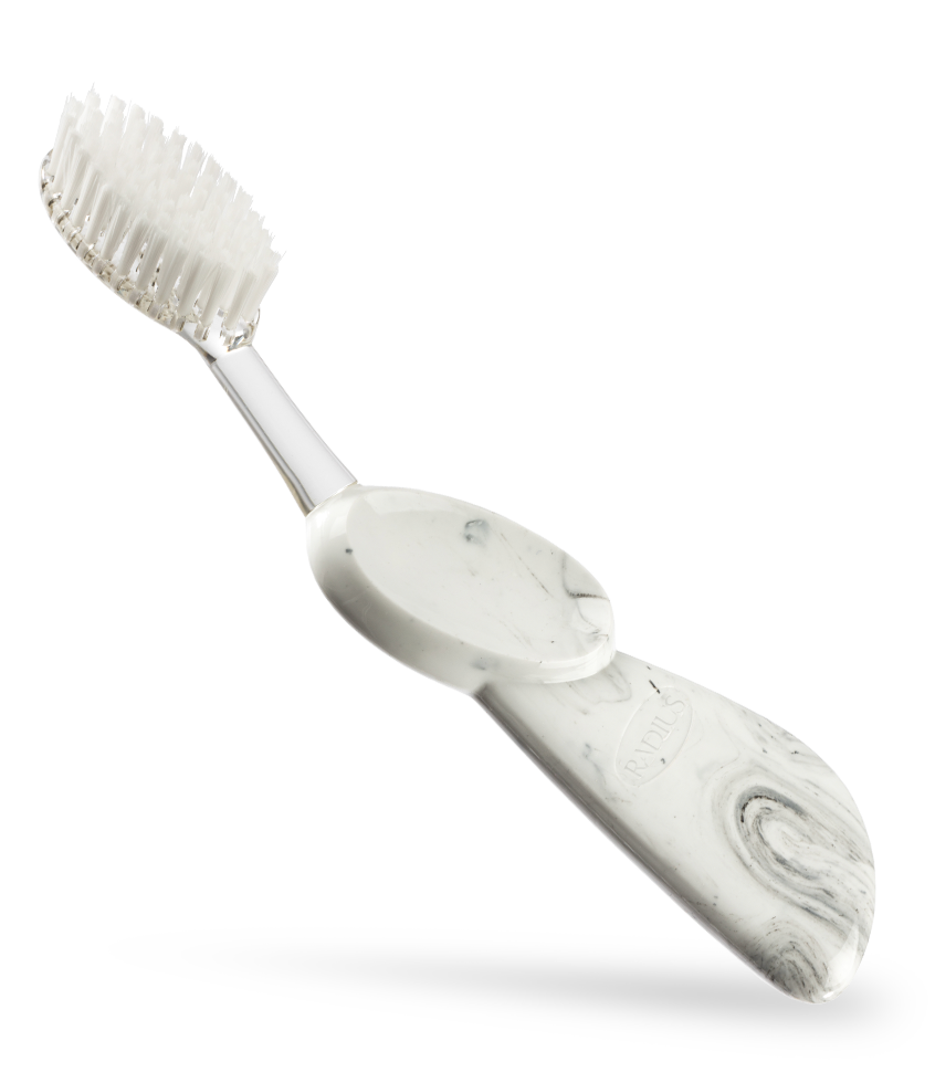 Big Brush with Replaceable Head Toothbrush