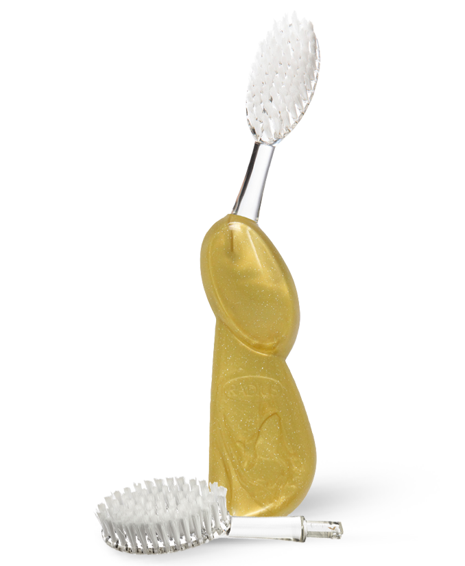 Big Brush with Replaceable Head Toothbrush