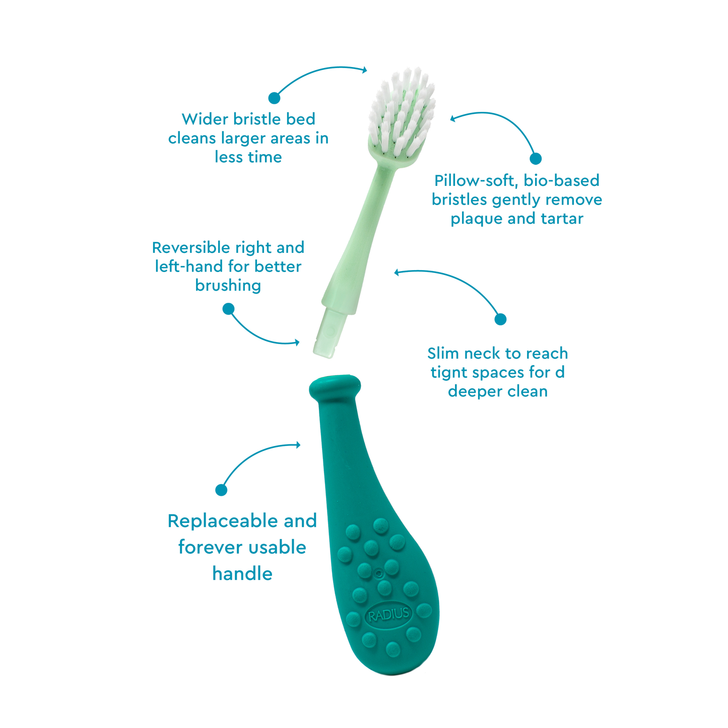 Big Kidz® Replaceable Head Forever Brush® (6yrs+)
