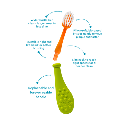 Big Kidz® Replaceable Head Forever Brush® (6yrs+)