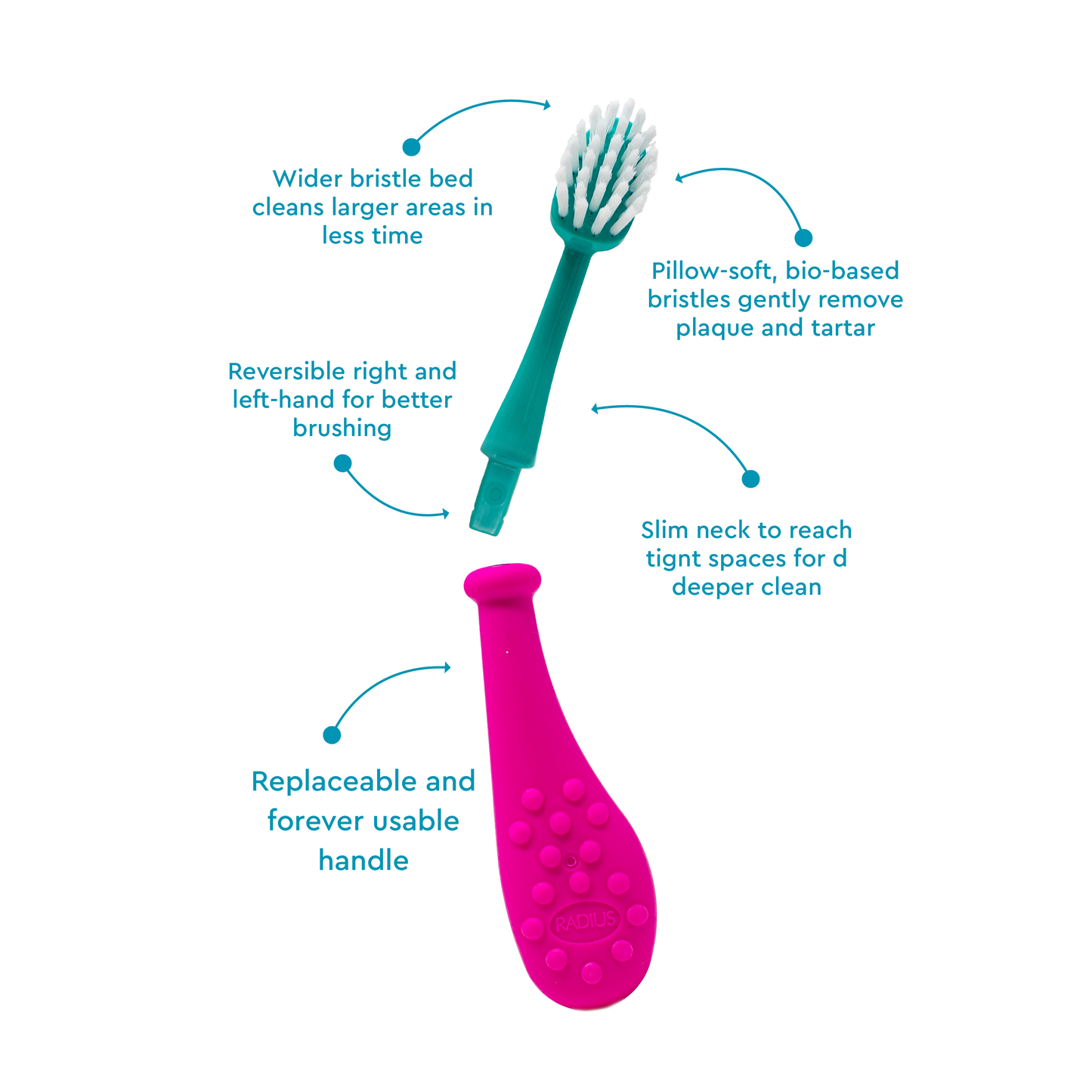 Big Kidz® Replaceable Head Forever Brush® (6yrs+)