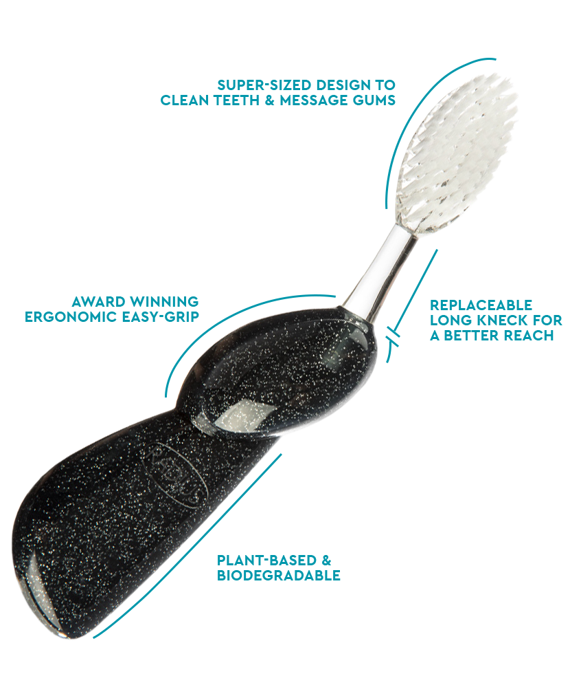 Big Brush with Replaceable Head Toothbrush