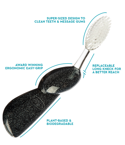 Big Brush with Replaceable Head Toothbrush