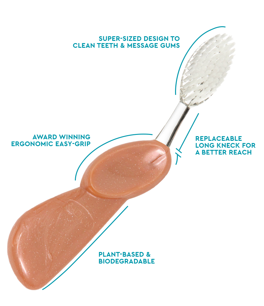 Big Brush with Replaceable Head Toothbrush