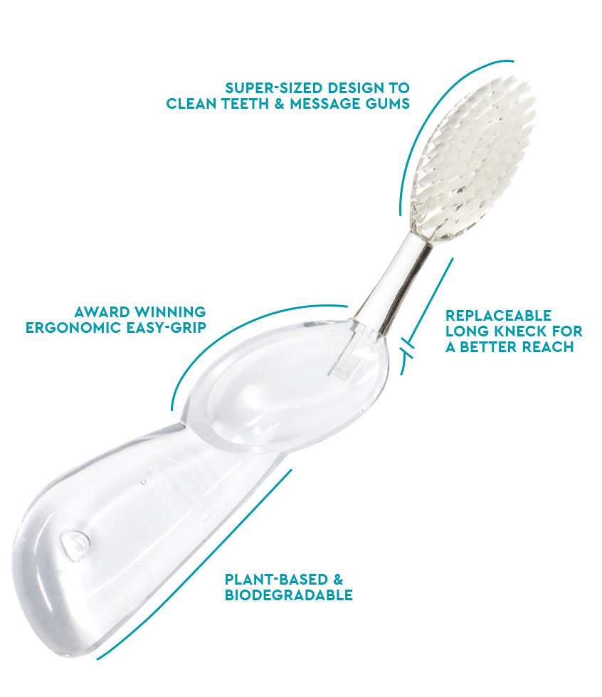Big Brush with Replaceable Head Toothbrush