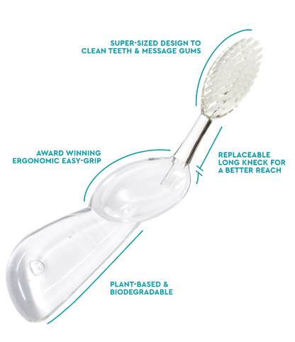 Big Brush with Replaceable Head Toothbrush