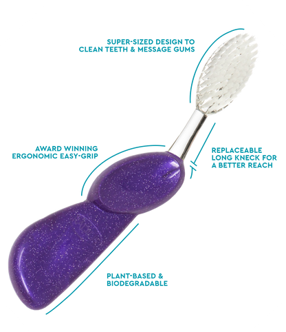 Big Brush with Replaceable Head Toothbrush