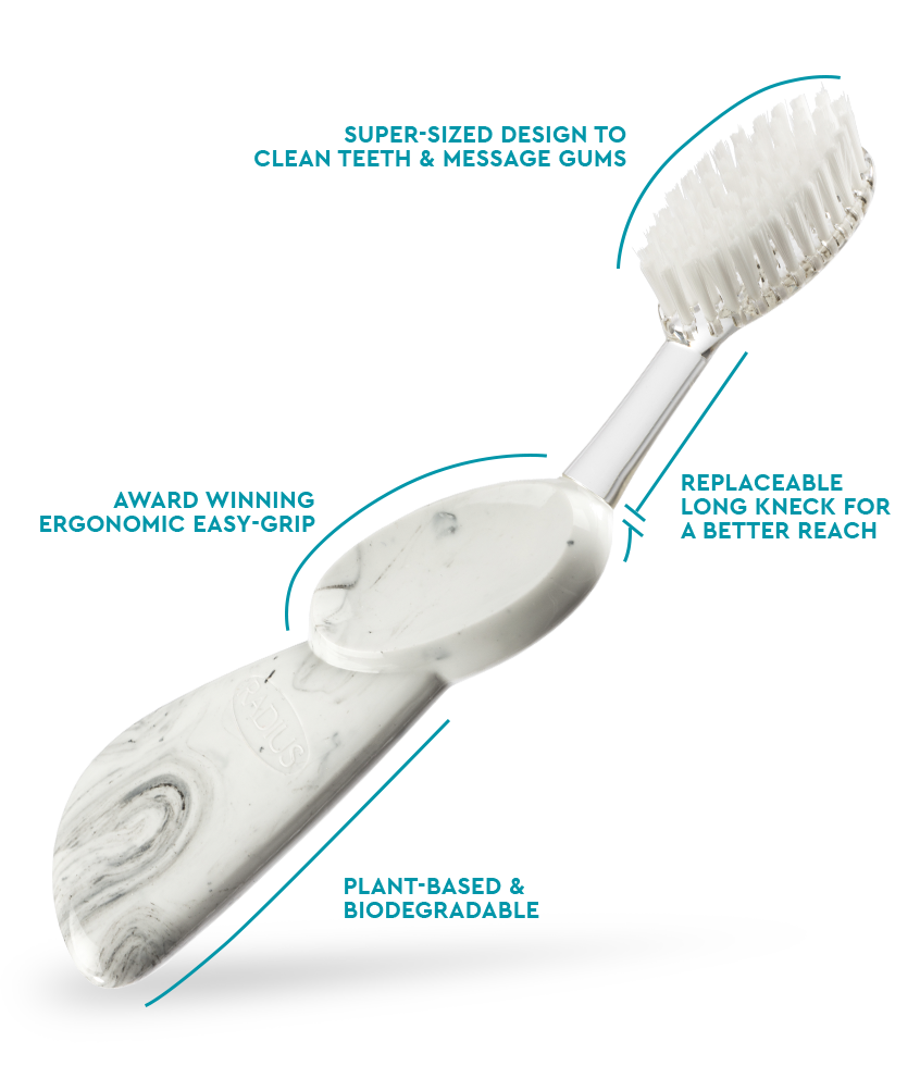 Big Brush with Replaceable Head Toothbrush