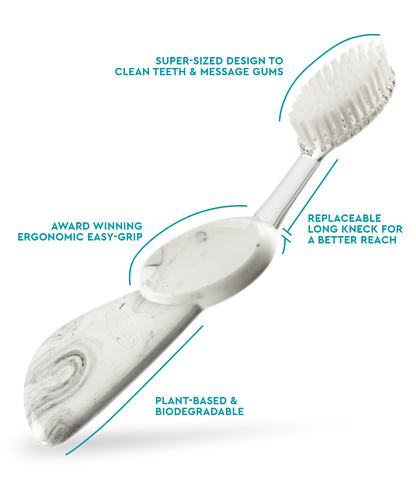 Big Brush with Replaceable Head Toothbrush