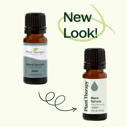 Black Spruce Essential Oil