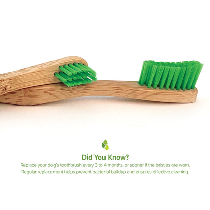 Bamboo Toothbrush for Small Dogs - Organic Dental Solutions®
