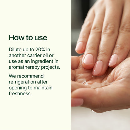 Camellia Seed Carrier Oil