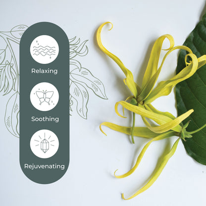 Cananga Essential Oil