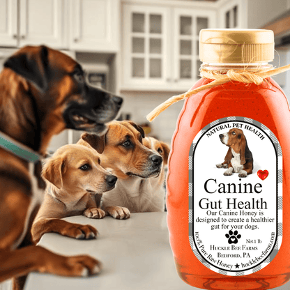 K9 Honey: Vet-Approved Allergy Relief & Immune Support