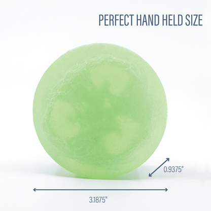 Coconut Lime Verbena Loofa Soap