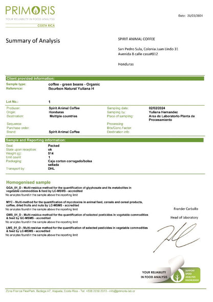 Honduran Parainema Coffee - 2-Pack