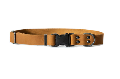 Sport Style Leather Dog Collar