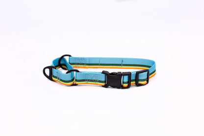 Outdoor Style All Nylon Martingale Collar
