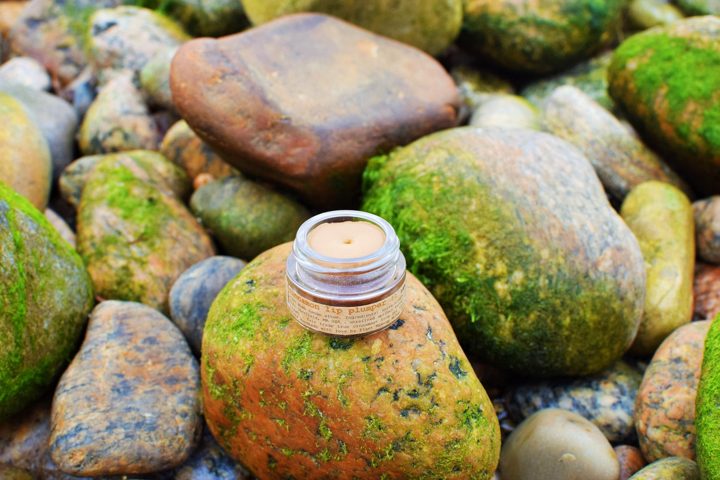 Cinnamon Lip Plumper