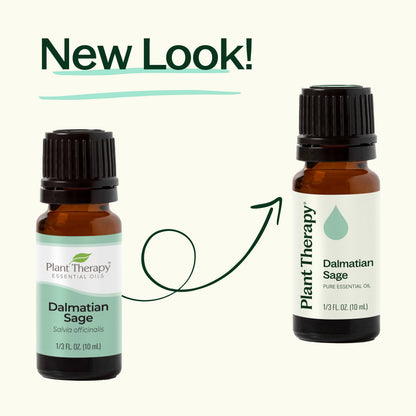 Dalmatian Sage Essential Oil