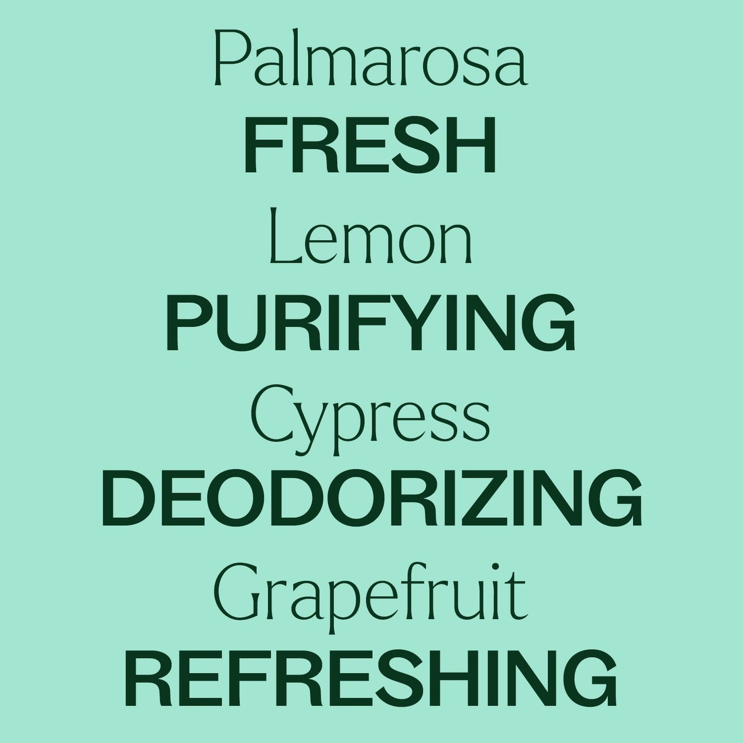 Deodorizing Powder