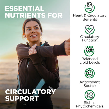 Nutrivein Premium Citrus Bergamot Supplement 1400mg 25:1 Bergamia Extract - 60 Day Supply - 120 Capsules