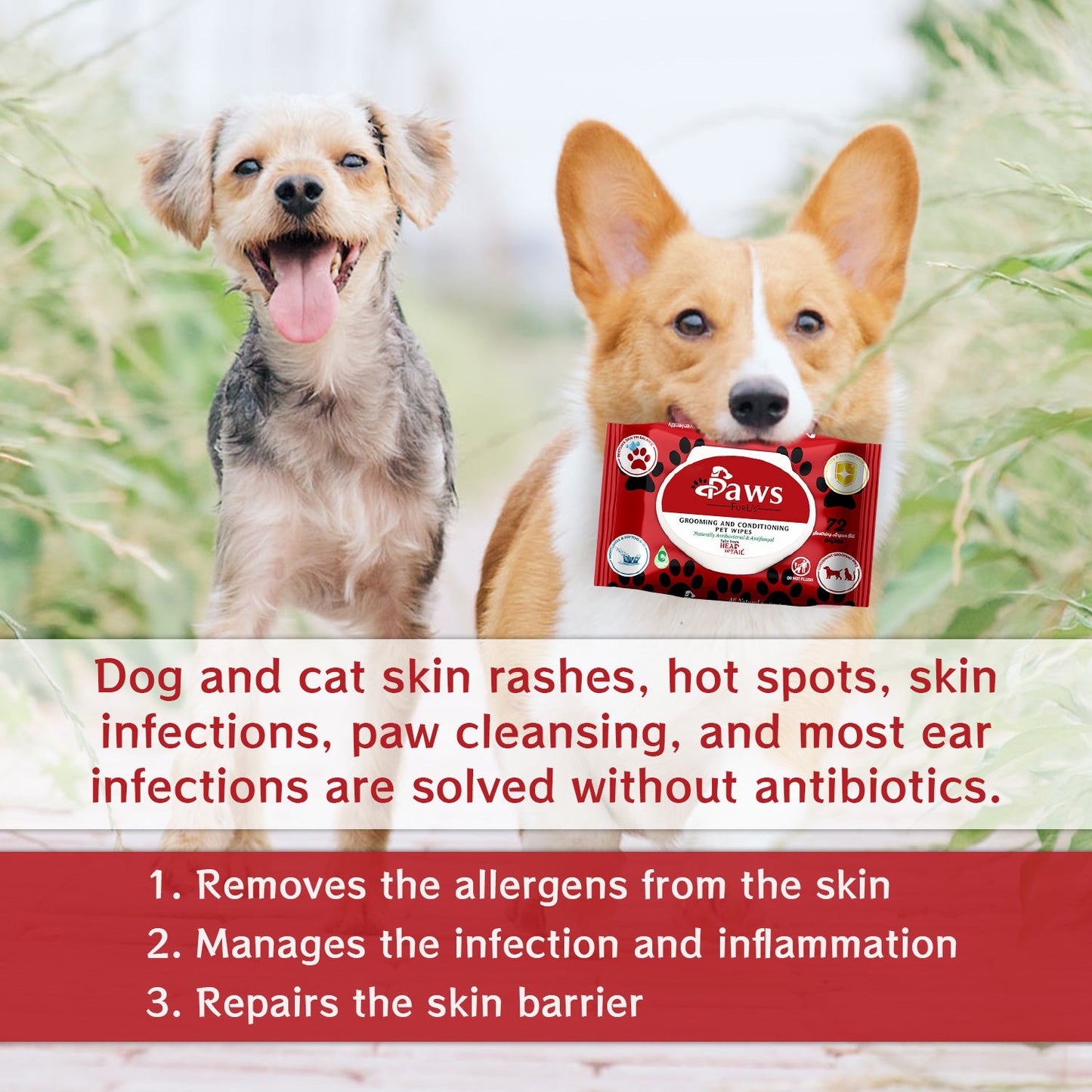 PawsFurUs® Pet Wipes