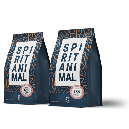 Honduran Parainema Coffee - 2-Pack