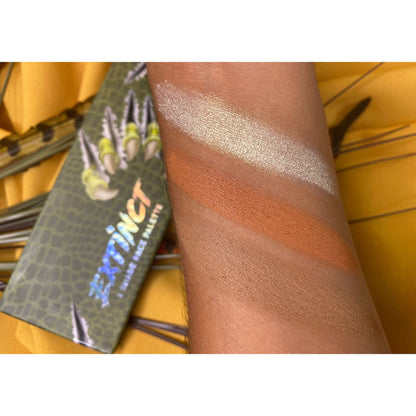 PREHISTORIC COLLECTION