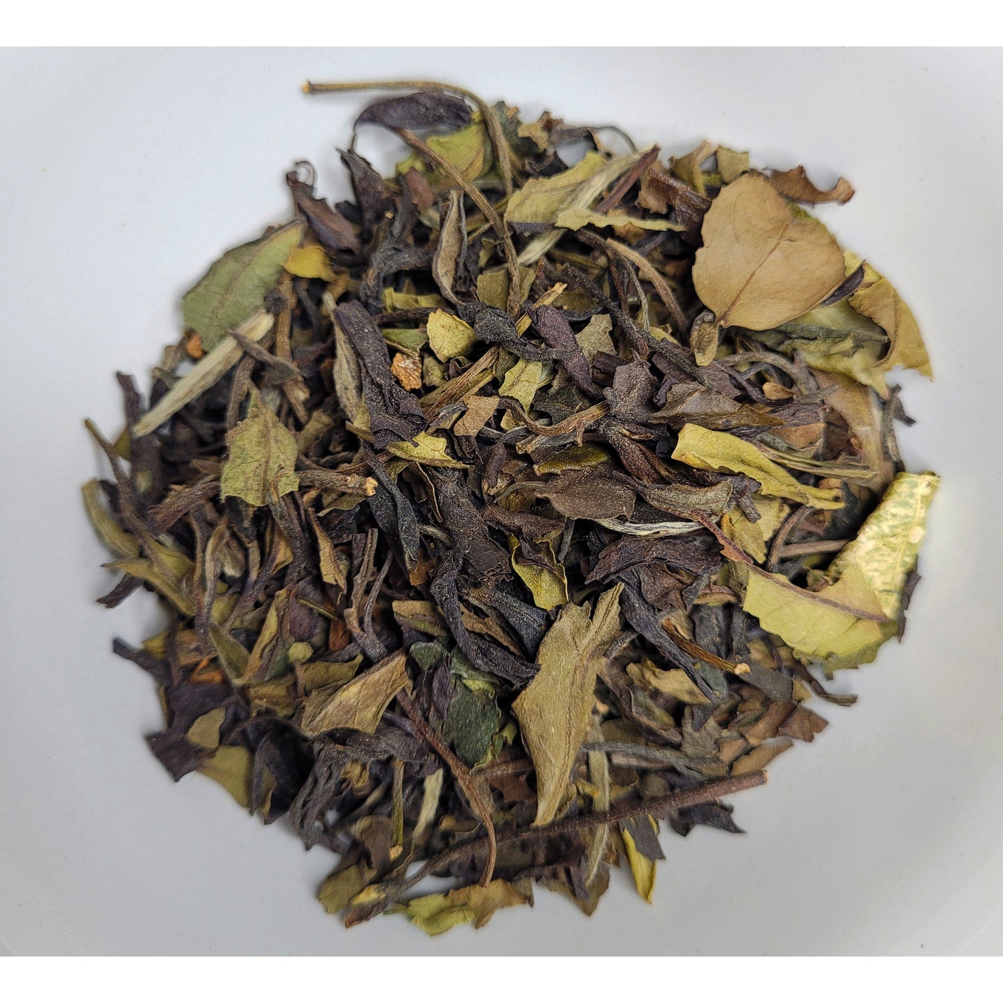 Yukina's Healing Touch (Holiday Tea)