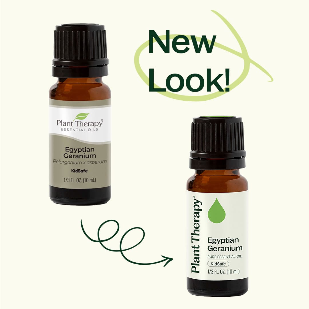 Egyptian Geranium Essential Oil
