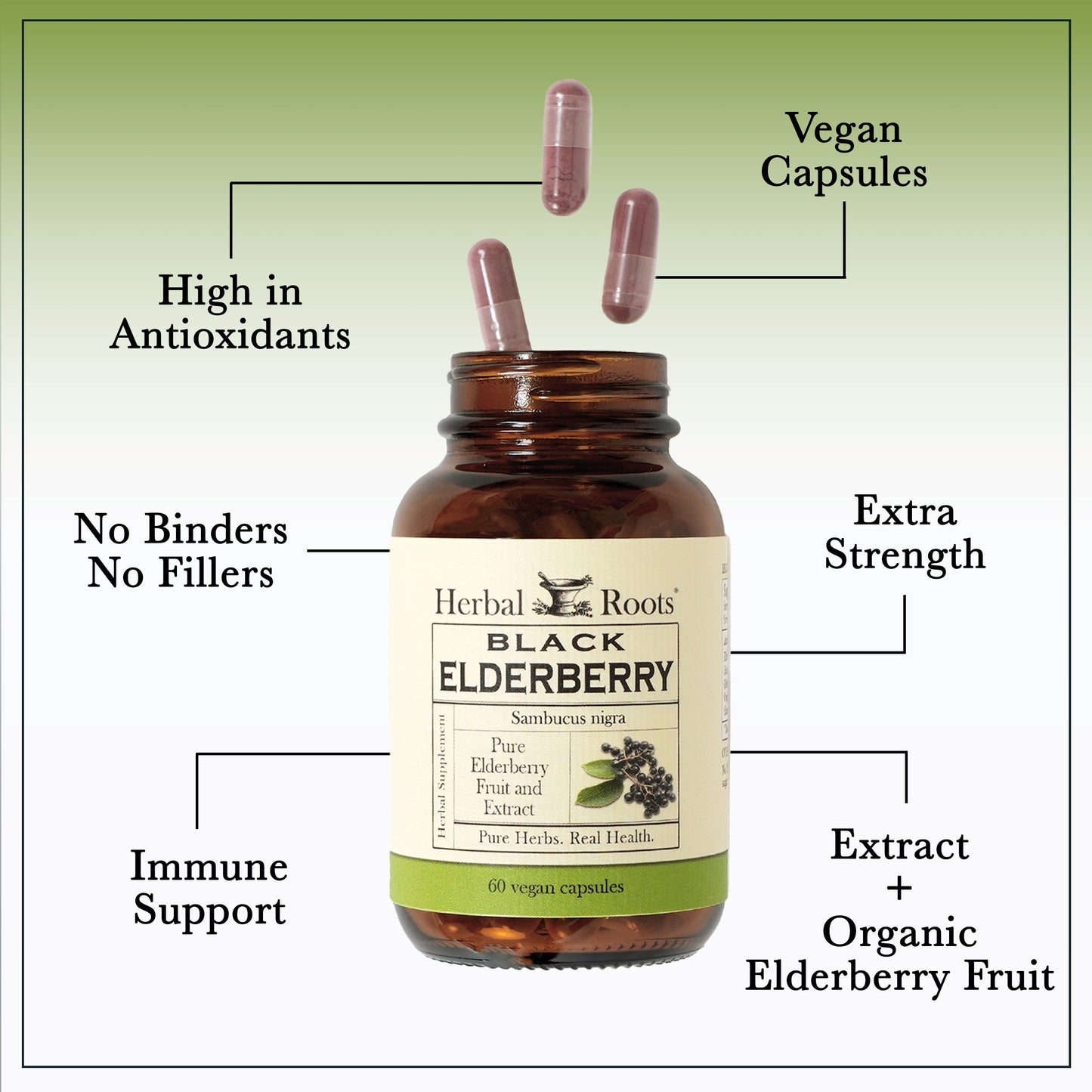 Organic Black Elderberry