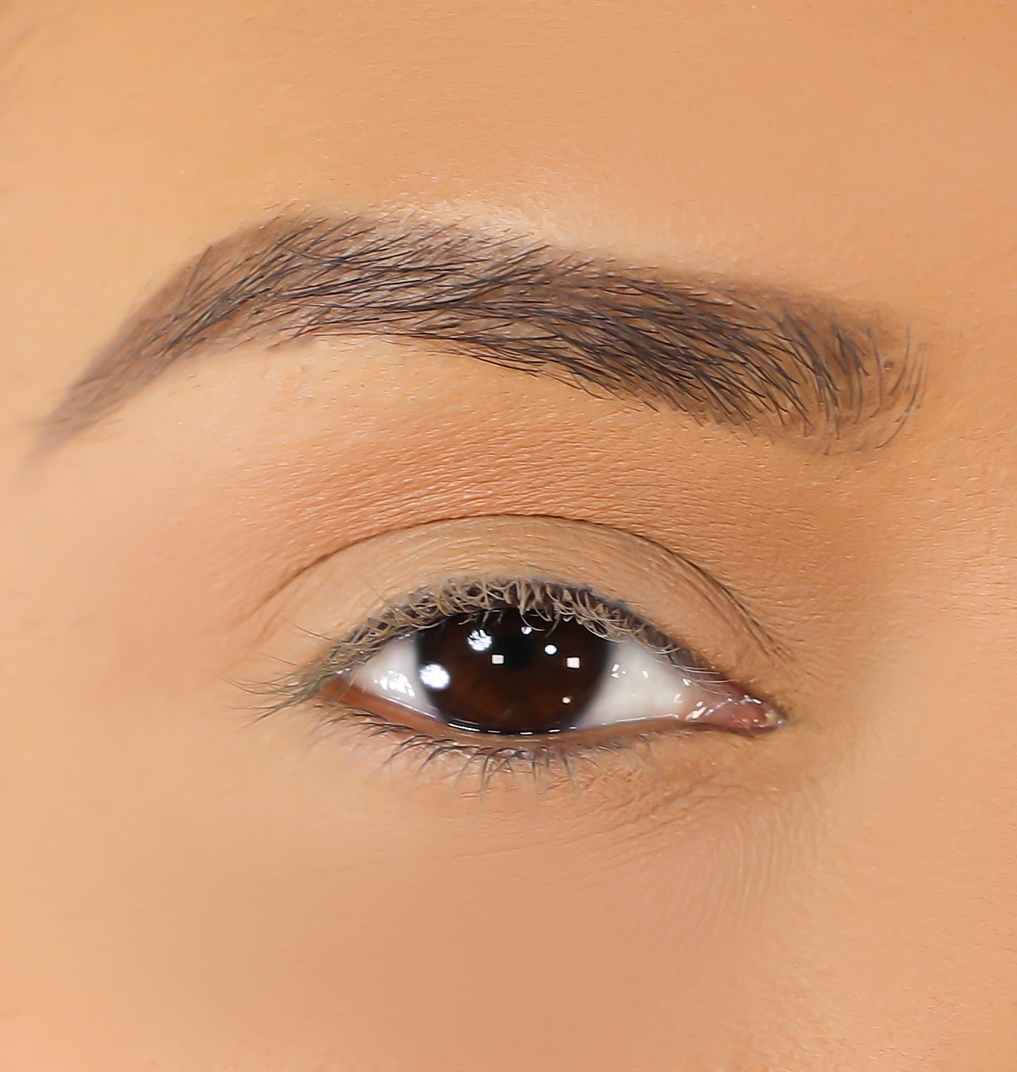 3D Mink Eyelashes - Serina