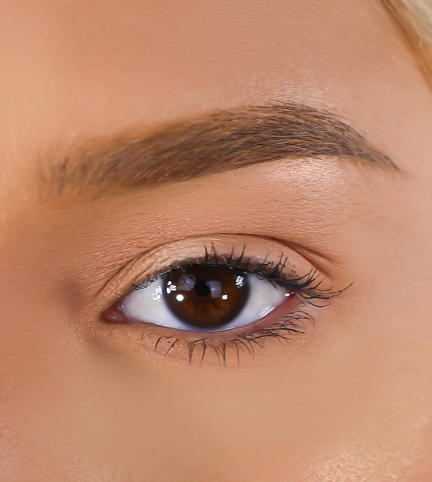 3D Mink Eyelashes - Confident