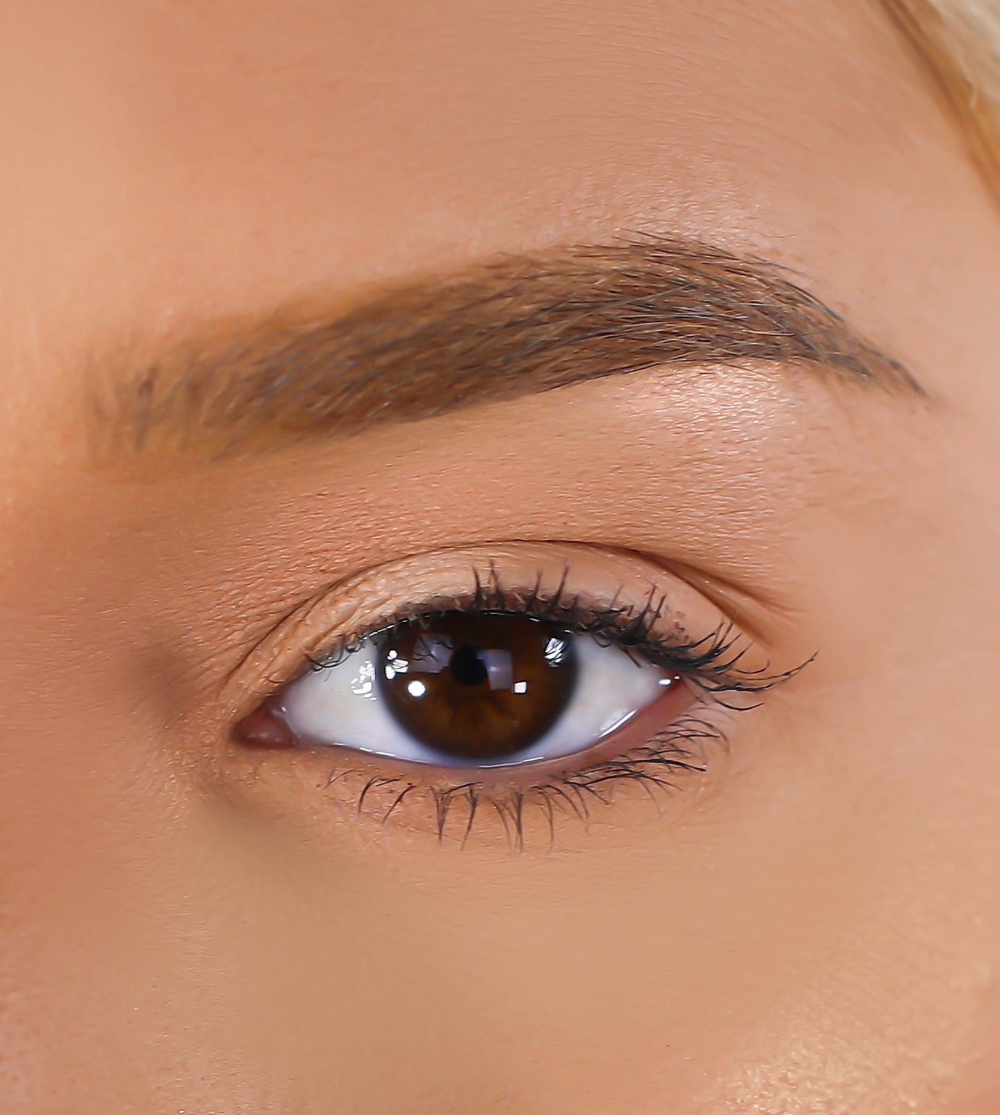 3D Mink Eyelashes - Larger Than Life