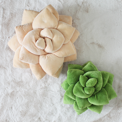 Big Pop Succulent® - Blush Peach