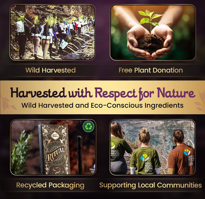 Tao Perfum Premium Incense Collection