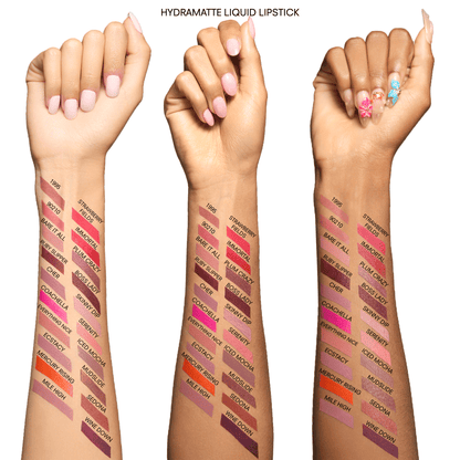 1995 - HydraMatte®️ Liquid Lipstick