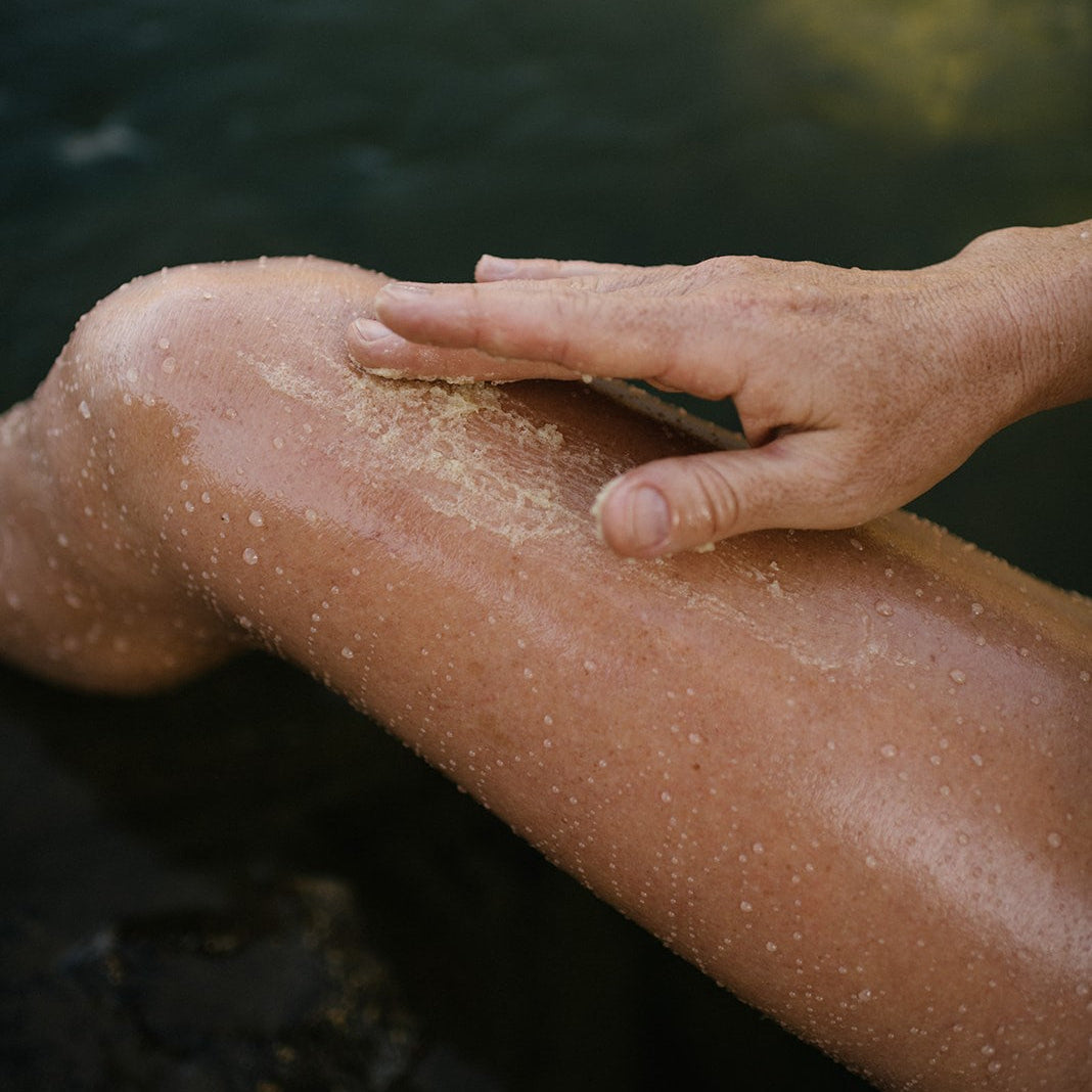Guava Helichrysum Illuminating Shea Body Scrub
