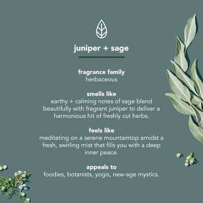 Method Men Body Wash Juniper Sage 18 fl oz - New