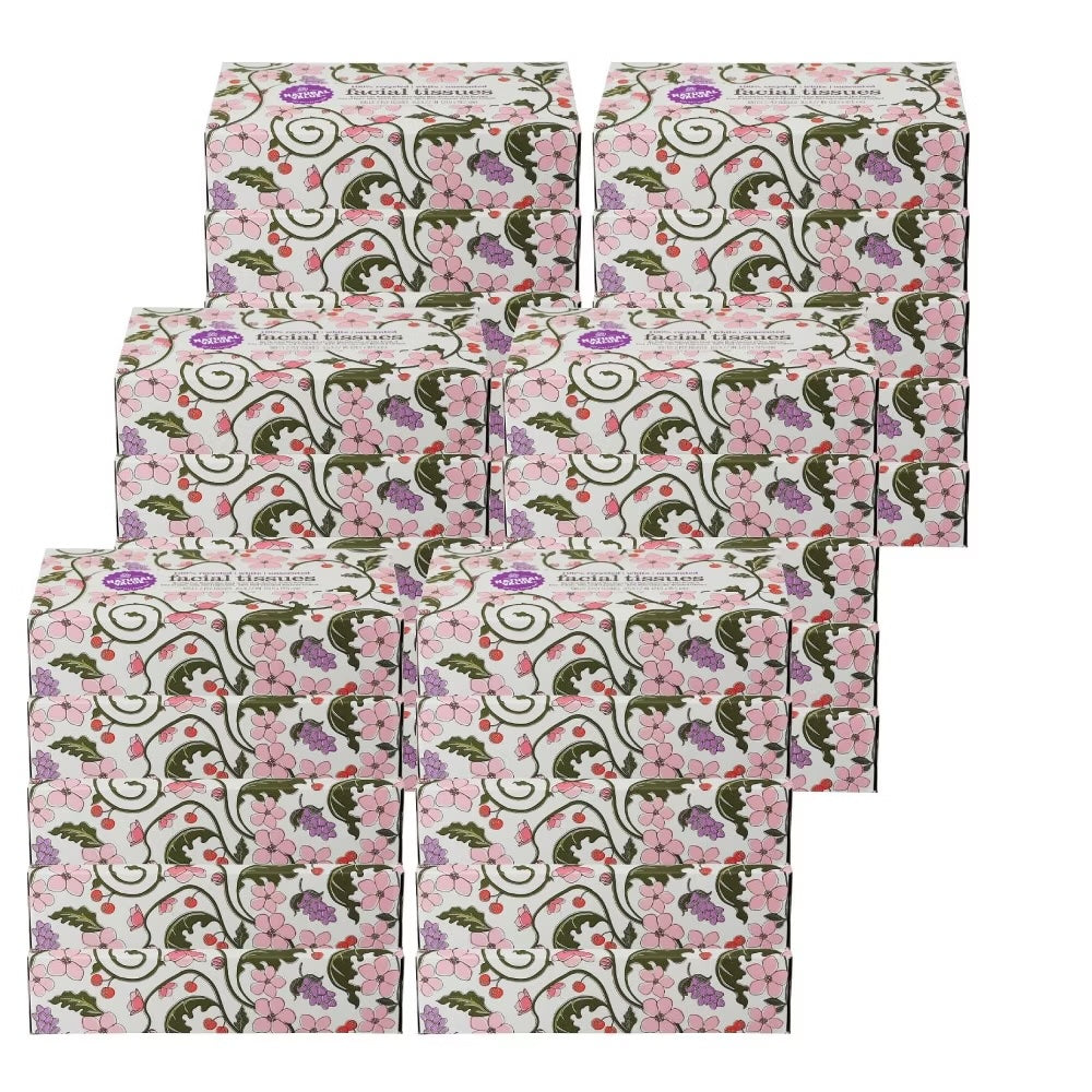 Natural Value 2-Ply Facial Tissue - 100 Count Pack, 30-Pack Case